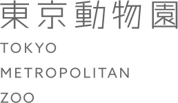 TOKYO METROPORITAN ZOO