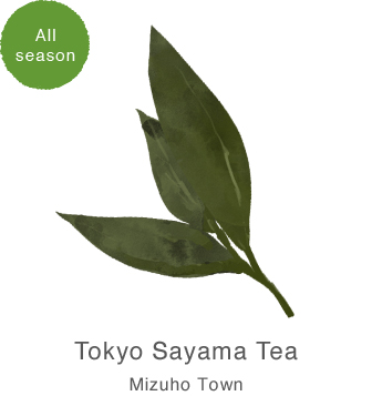 東京狭山茶