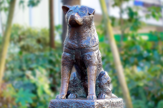 Hachiko's statue