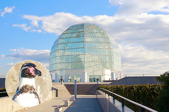 Tokyo Sea Life Park