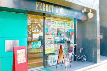Ferret World Nakano